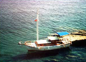 Kelebek II - Daily Boat trip, Bitez